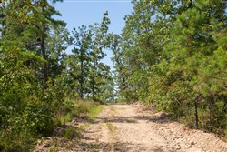 property photo for Borgmanns Hollow Phase I Tract 21, 5.36 acres for sale in Shannon County, Missouri