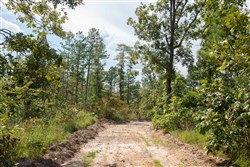 property photo for Borgmanns Hollow Phase I Tract 21, 5.36 acres for sale in Shannon County, Missouri