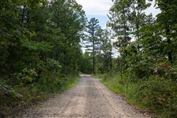 property photo for Borgmanns Hollow Phase I Tract 22, 6.66 acres for sale in Shannon County, Missouri