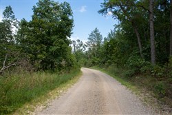 property photo for Borgmanns Hollow Phase I Tract 22, 6.66 acres for sale in Shannon County, Missouri