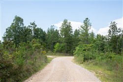 property photo for Borgmanns Hollow Phase I Tract 23, 5.32 acres for sale in Shannon County, Missouri