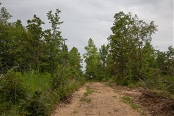 property photo for Borgmanns Hollow Phase I Tract 26, 12.74 acres for sale in Shannon County, Missouri