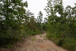 property photo for Borgmanns Hollow Phase I Tract 28, 13.17 acres for sale in Shannon County, Missouri