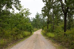 property photo for Borgmanns Hollow Phase I Tract 29, 8.43 acres for sale in Shannon County, Missouri