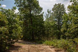 property photo for Borgmanns Hollow Phase I Tract 3, 17.32 acres for sale in Shannon County, Missouri