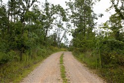 property photo for Borgmanns Hollow Phase I Tract 30, 5.08 acres for sale in Shannon County, Missouri