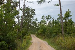 property photo for Borgmanns Hollow Phase I Tract 30, 5.08 acres for sale in Shannon County, Missouri