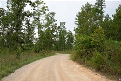 property photo for Borgmanns Hollow Phase I Tract 31, 8.5 acres for sale in Shannon County, Missouri