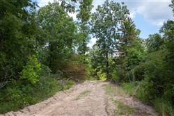 Borgmanns Hollow Phase I Tract 5