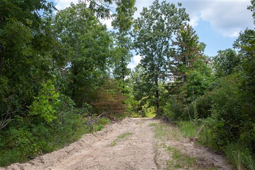 Borgmanns Hollow Phase I Tract 5