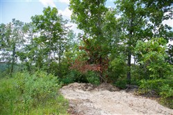 Borgmanns Hollow Phase I Tract 5