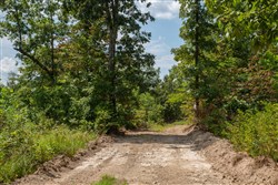 Borgmanns Hollow Phase I Tract 5