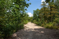 property photo for Borgmanns Hollow Phase I Tract 6, 5.36 acres for sale in Shannon County, Missouri