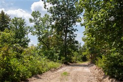 property photo for Borgmanns Hollow Phase I Tract 6, 5.36 acres for sale in Shannon County, Missouri