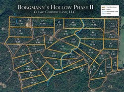 tract layout map for Borgmanns Hollow Phase I Tract 7, 9.84 acres for sale in Shannon County, Missouri