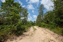 Borgmanns Hollow Phase I Tract 8