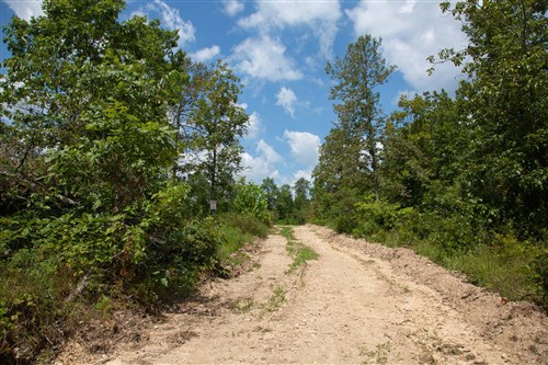 Borgmanns Hollow Phase I Tract 8