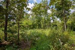 Borgmanns Hollow Phase I Tract 8