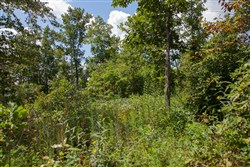 Borgmanns Hollow Phase I Tract 8