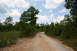 property photo for Borgmanns Hollow Phase I Tract 9, 5.12 acres for sale in Shannon County, Missouri