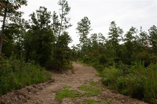Borgmanns Hollow Phase II Tract 33