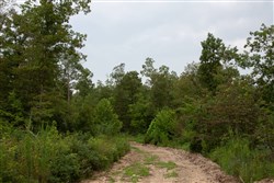 Borgmanns Hollow Phase II Tract 33