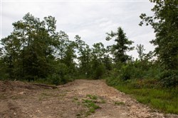 Borgmanns Hollow Phase II Tract 33