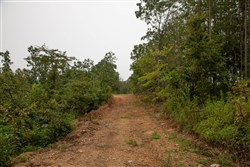 Borgmanns Hollow Phase II Tract 41