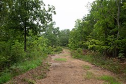 Borgmanns Hollow Phase II Tract 41