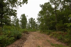 Borgmanns Hollow Phase II Tract 42