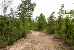 Borgmanns Hollow Phase II Tract 46
