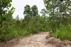 Borgmanns Hollow Phase II Tract 46