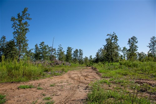 Borgmanns Hollow Phase II Tract 48
