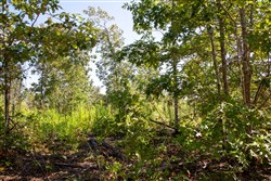 Borgmanns Hollow Phase II Tract 48