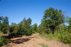 Borgmanns Hollow Phase II Tract 65