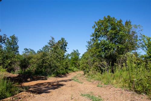 Borgmanns Hollow Phase II Tract 65