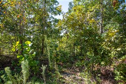 Borgmanns Hollow Phase II Tract 65