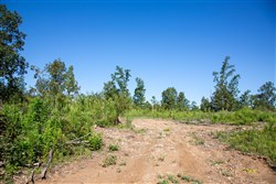 Borgmanns Hollow Phase II Tract 65