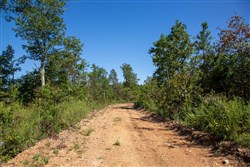 Borgmanns Hollow Phase II Tract 67