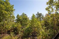 Borgmanns Hollow Phase II Tract 67