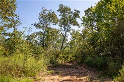 Borgmanns Hollow Phase II Tract 67