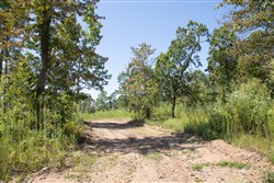 Borgmanns Hollow Phase III Tract 73