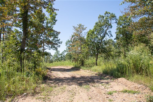 Borgmanns Hollow Phase III Tract 73