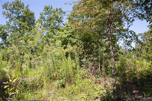 Borgmanns Hollow Phase III Tract 73