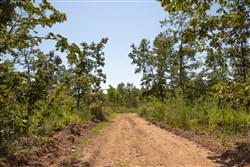 Borgmanns Hollow Phase III Tract 77