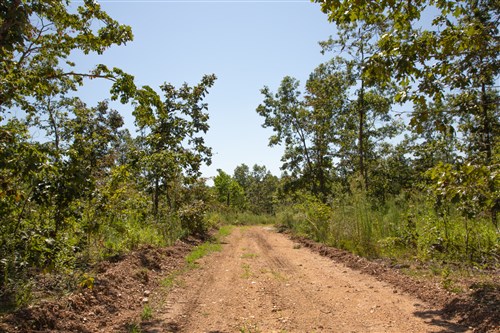 Borgmanns Hollow Phase III Tract 77