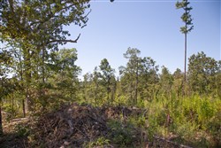 Borgmanns Hollow Phase III Tract 77