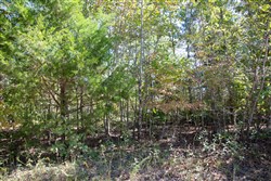 Borgmanns Hollow Phase III Tract 95