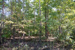 Borgmanns Hollow Phase III Tract 95