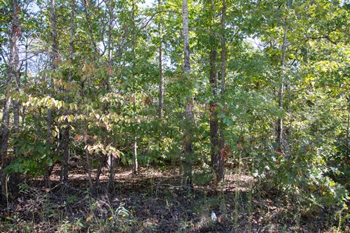 Borgmanns Hollow Phase III Tract 95